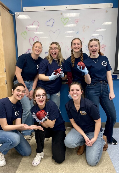 UHS students holding pig hearts.