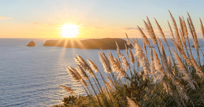 University of Waikato