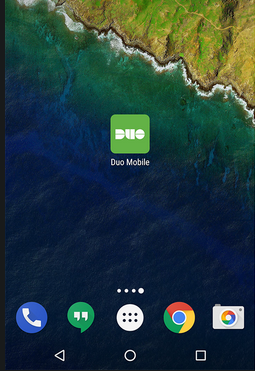 samsung duo app