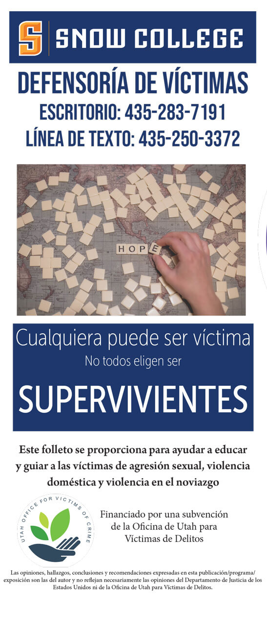 Domestic Violence Advocate Pamphlet Cover