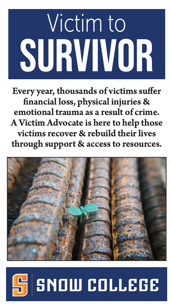 Domestic Violence Advocate Pamphlet Cover